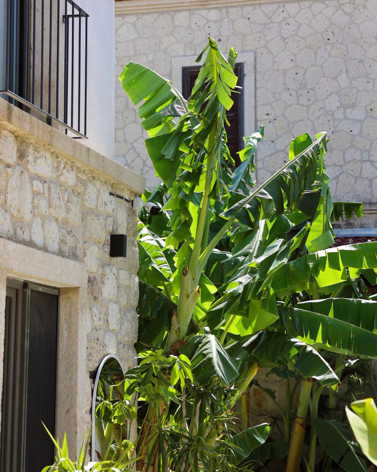 Voger Alacati Koeyici Exteriér fotografie